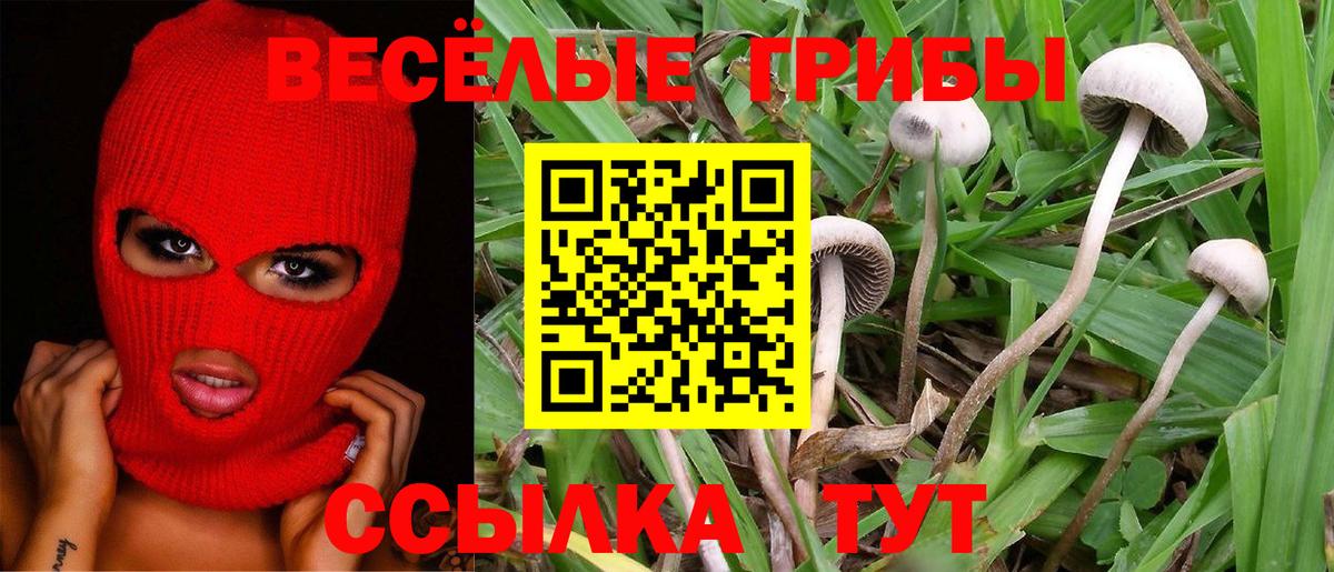 Псилоцибиновые грибы MAGIC MUSHROOMS Подольск